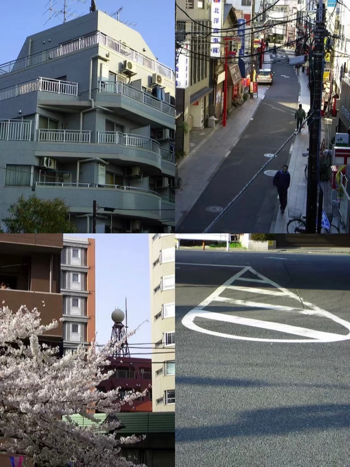 CASIO 상품이미지4