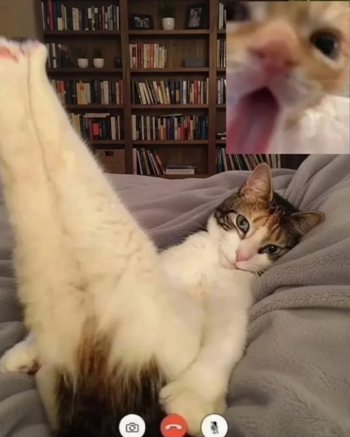 👯‍♀️팔로워1000명기념 할인(1.7일까지)🪽 상품이미지1