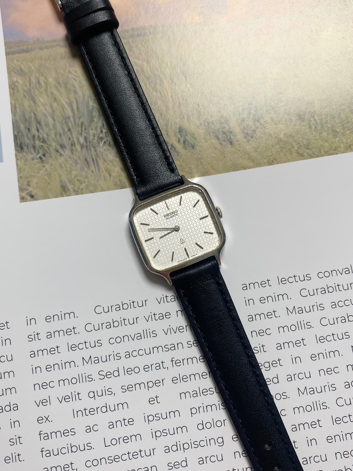 Seiko 스퀘어 쿼츠 상품이미지3