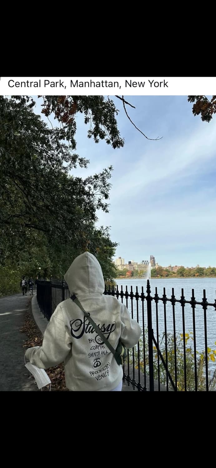 스투시 후드집업 월드투어 애쉬헤더 색상 M 사이즈 상품이미지2