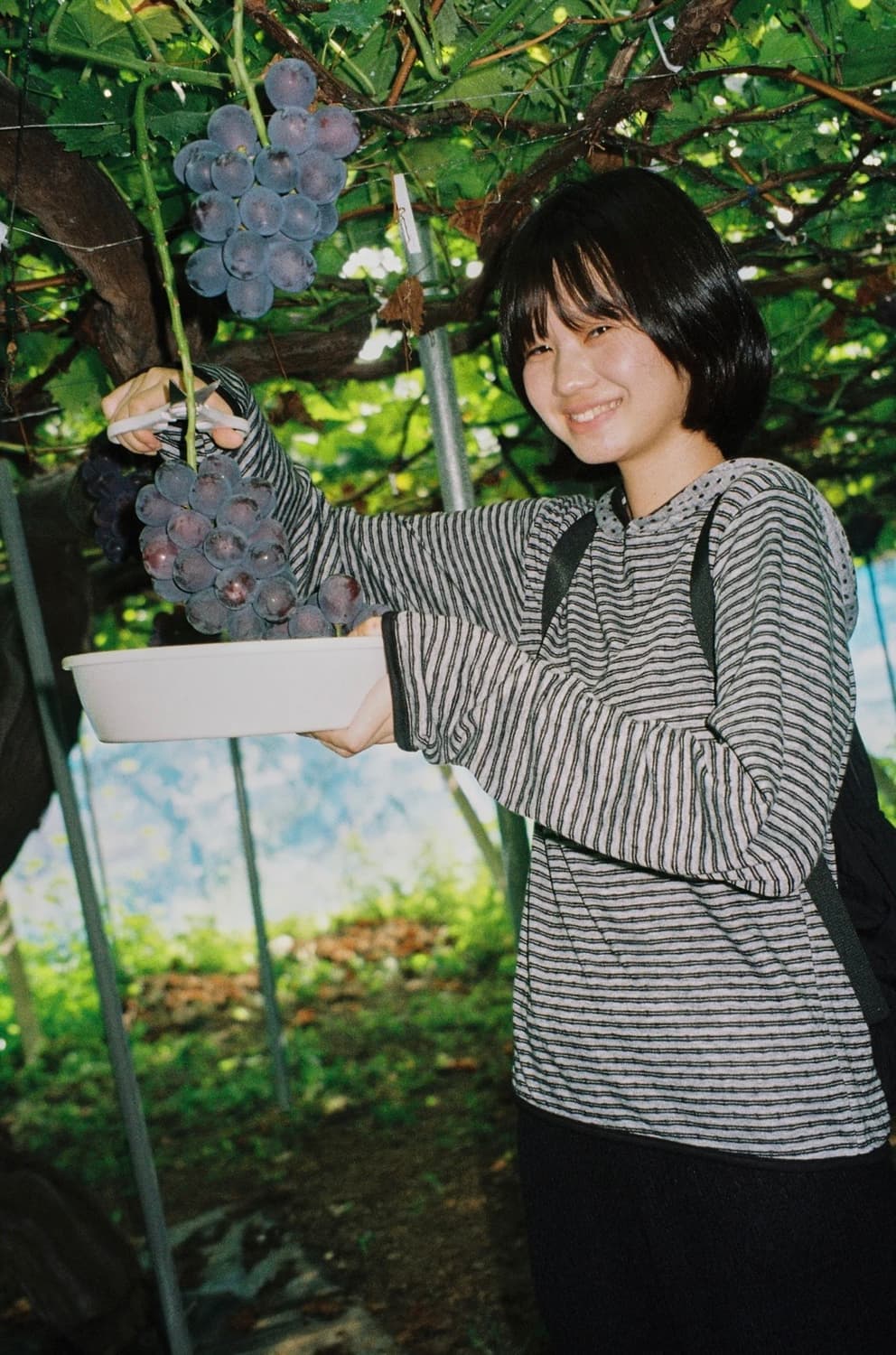 페스토 도트 스트라이프 후디 상품이미지2