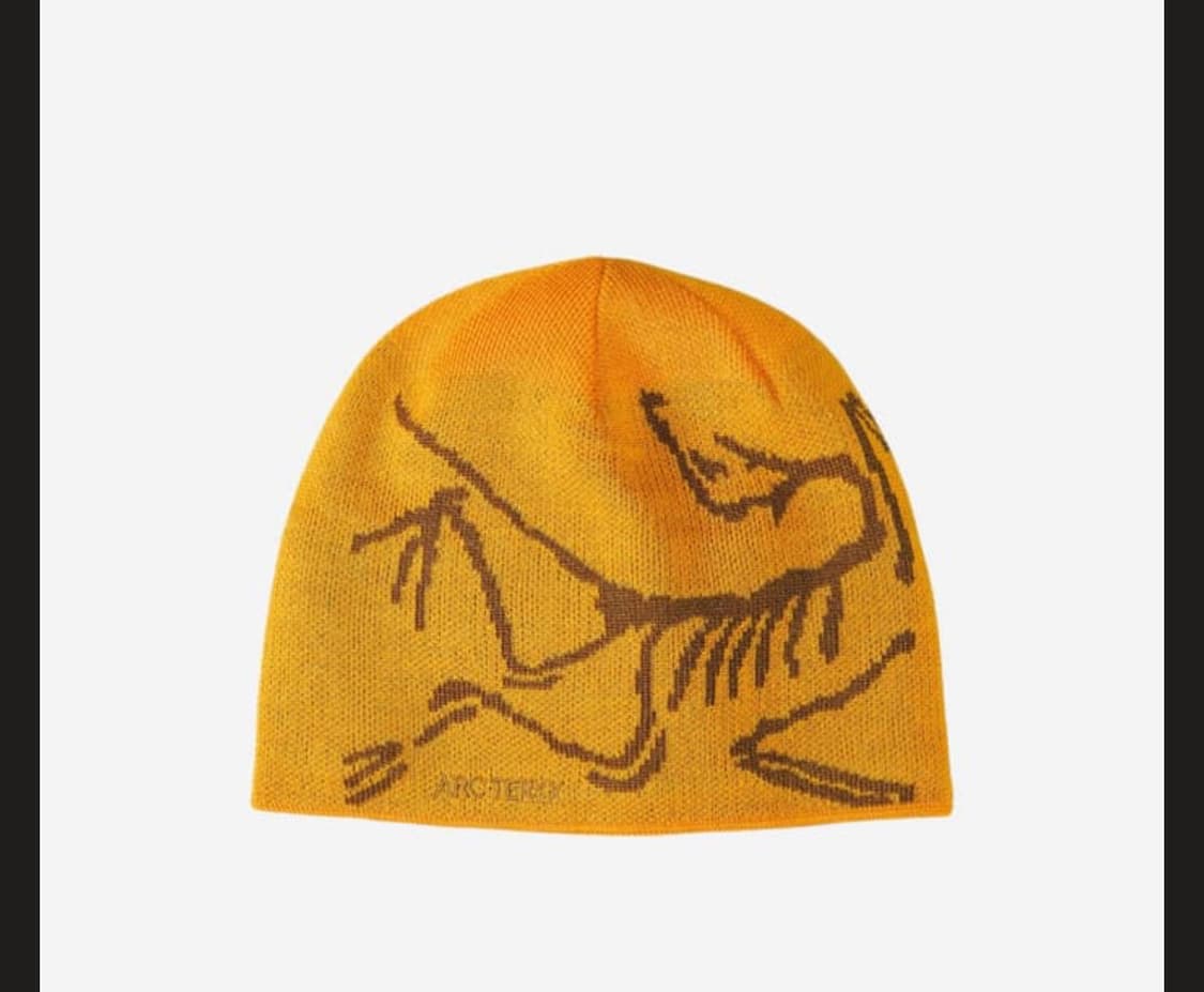 아크테릭스 비니Arc'teryx Bird Head Toque Oracle 상품이미지1