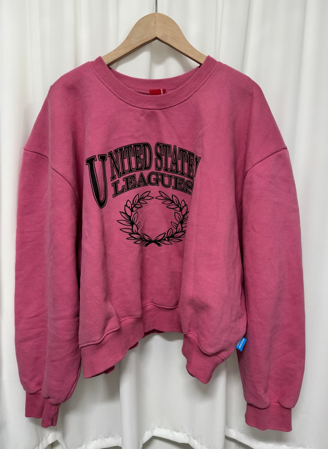 fortune apparel 핑크 기모 맨투맨 상품이미지2