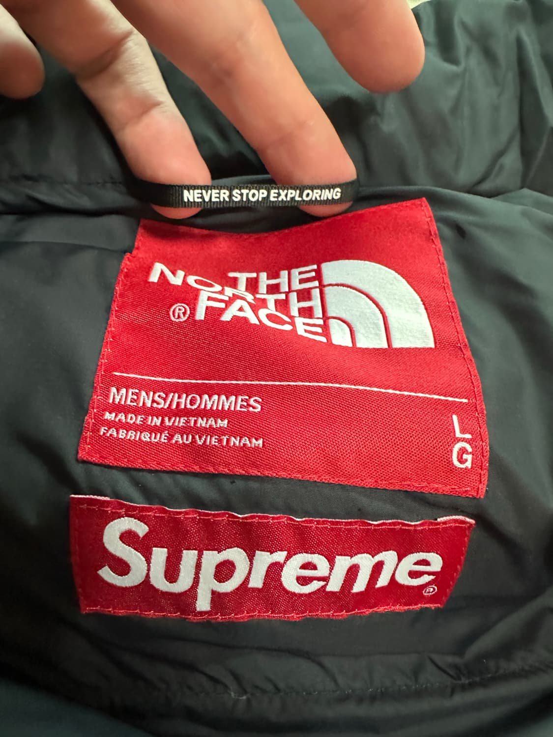 슈노 눕시 라지 L 판매합니다. 상품이미지5