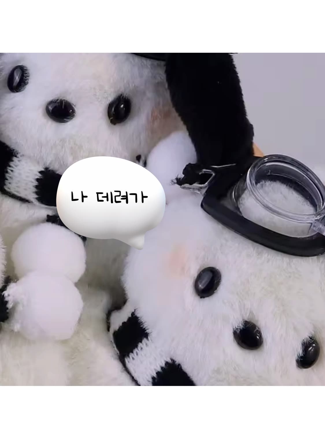 🐥포차코가 애타게 주인님을 찾고 있습니다😢✨️ 상품이미지4