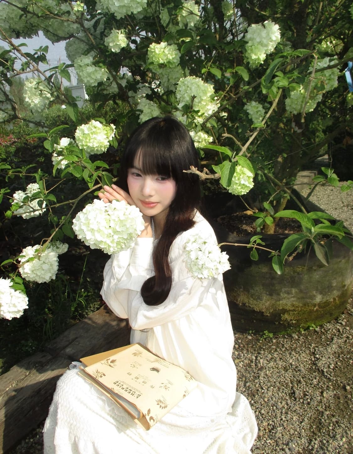 강추!🍅) CANON IXY 160 빈티지 디카 상품이미지2