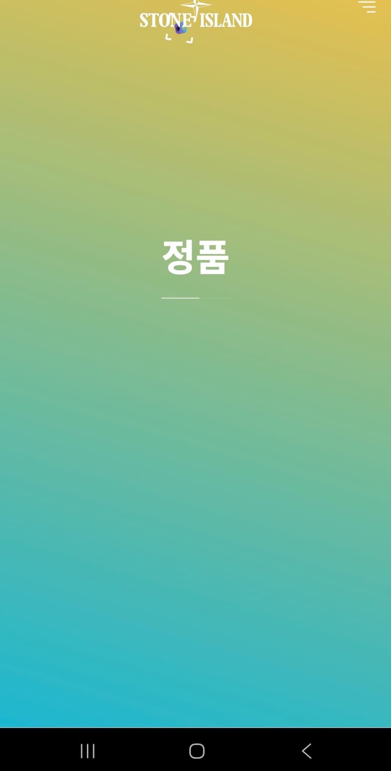 스톤아일랜드 맨투맨 XL 상품이미지6