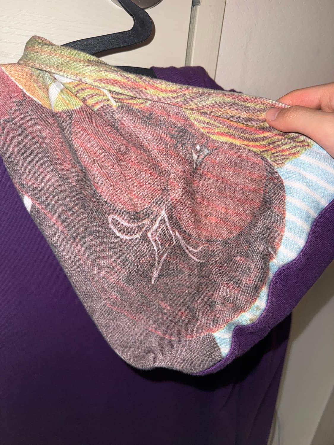 y2k 오리엔탈 후드집업 상품이미지3