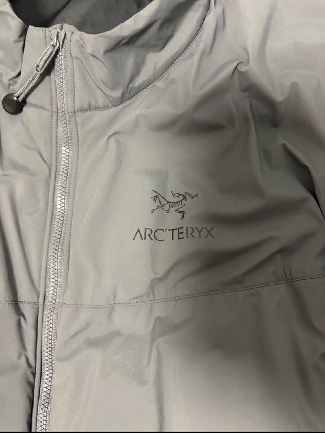 아크테릭스 리프콜드 울프 m 상품이미지2