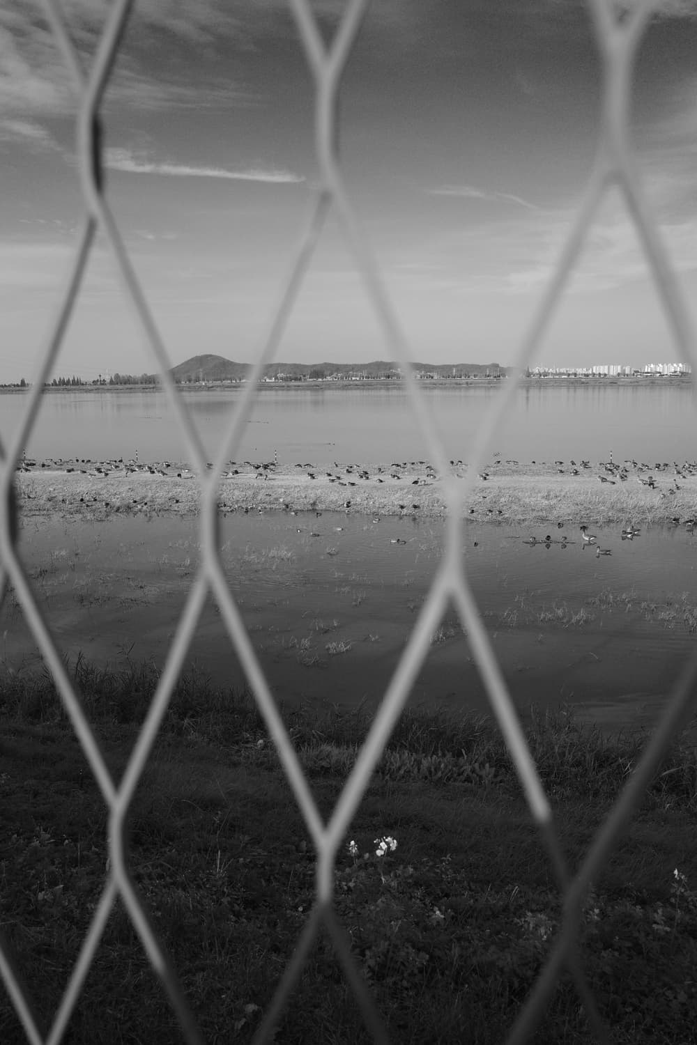 리코 gr2 상품이미지10