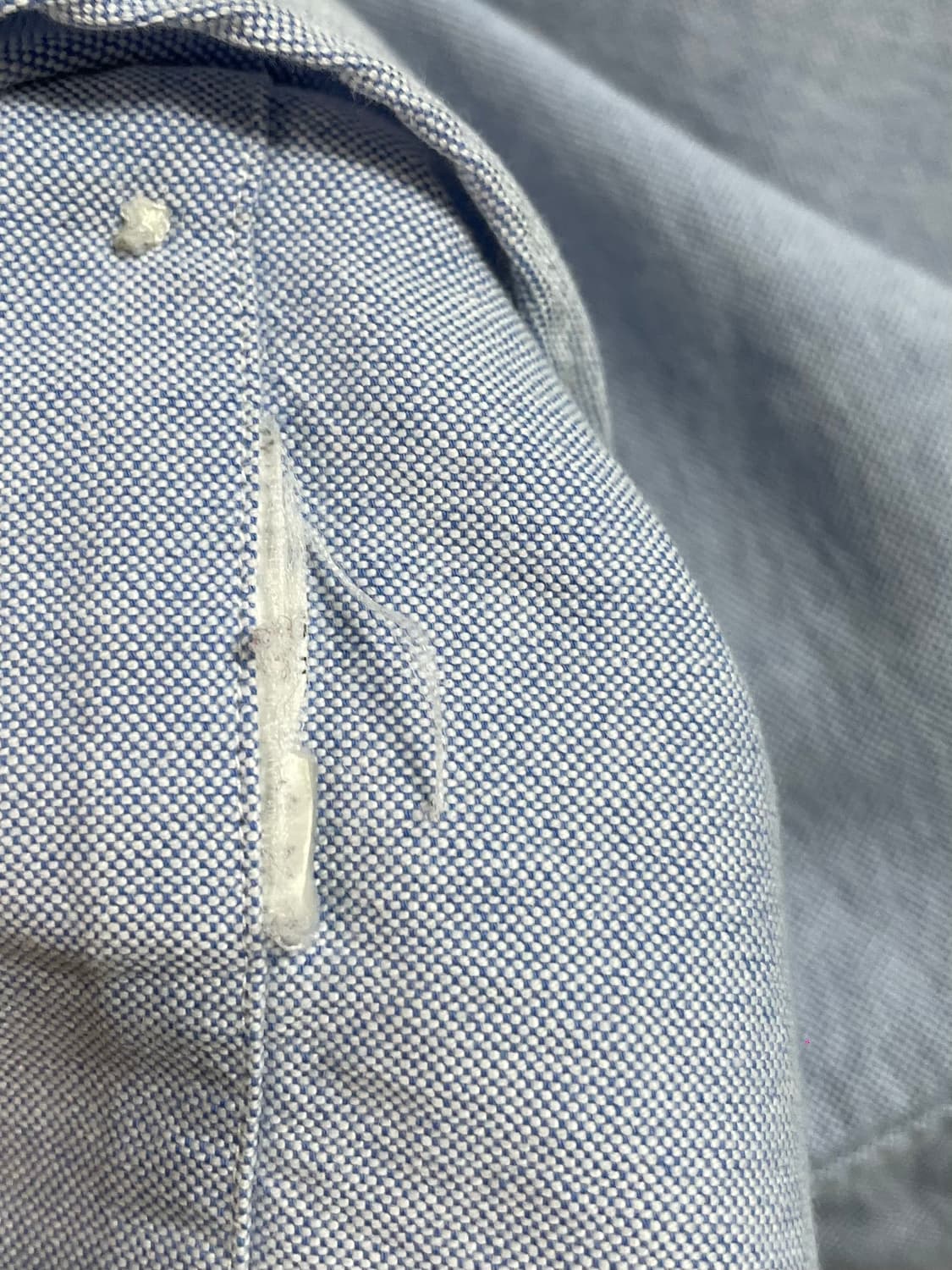 폴로 랄프로렌 베어 옥스포드 셔츠 (on.604) 상품이미지6