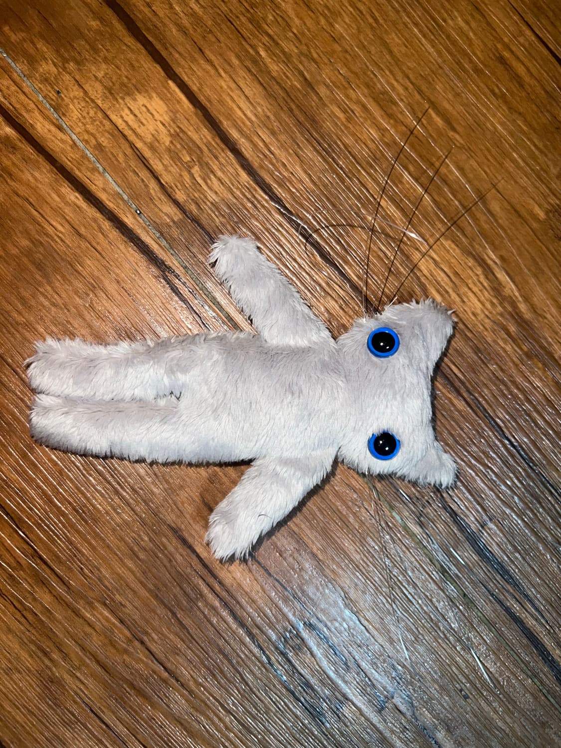 Cool summer cat plushie (handmade) 상품이미지2