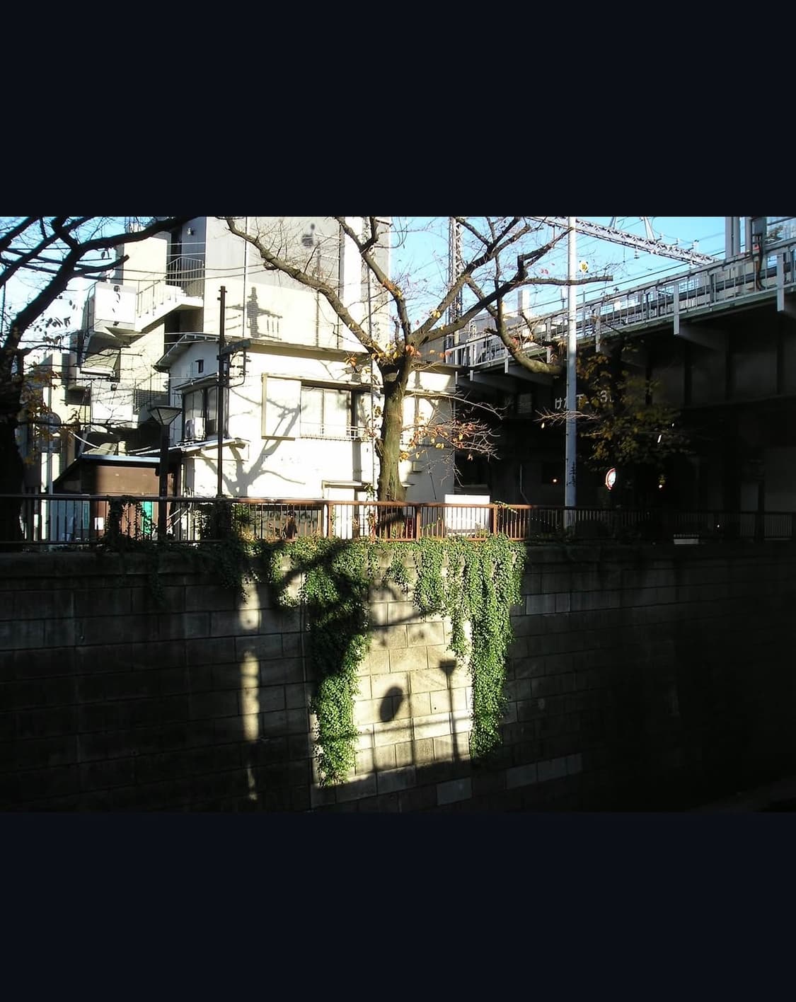 올림푸스 카메디아 d580줌 디지털카메라 상품이미지9