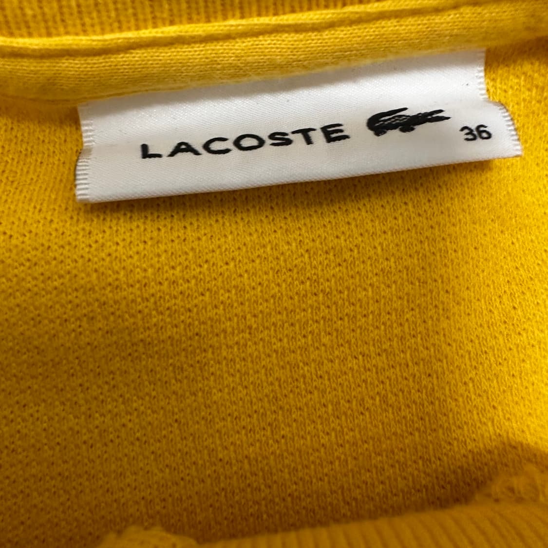 라코스테 여성 니트 맨투맨 옐로우 95사이즈 상품이미지3