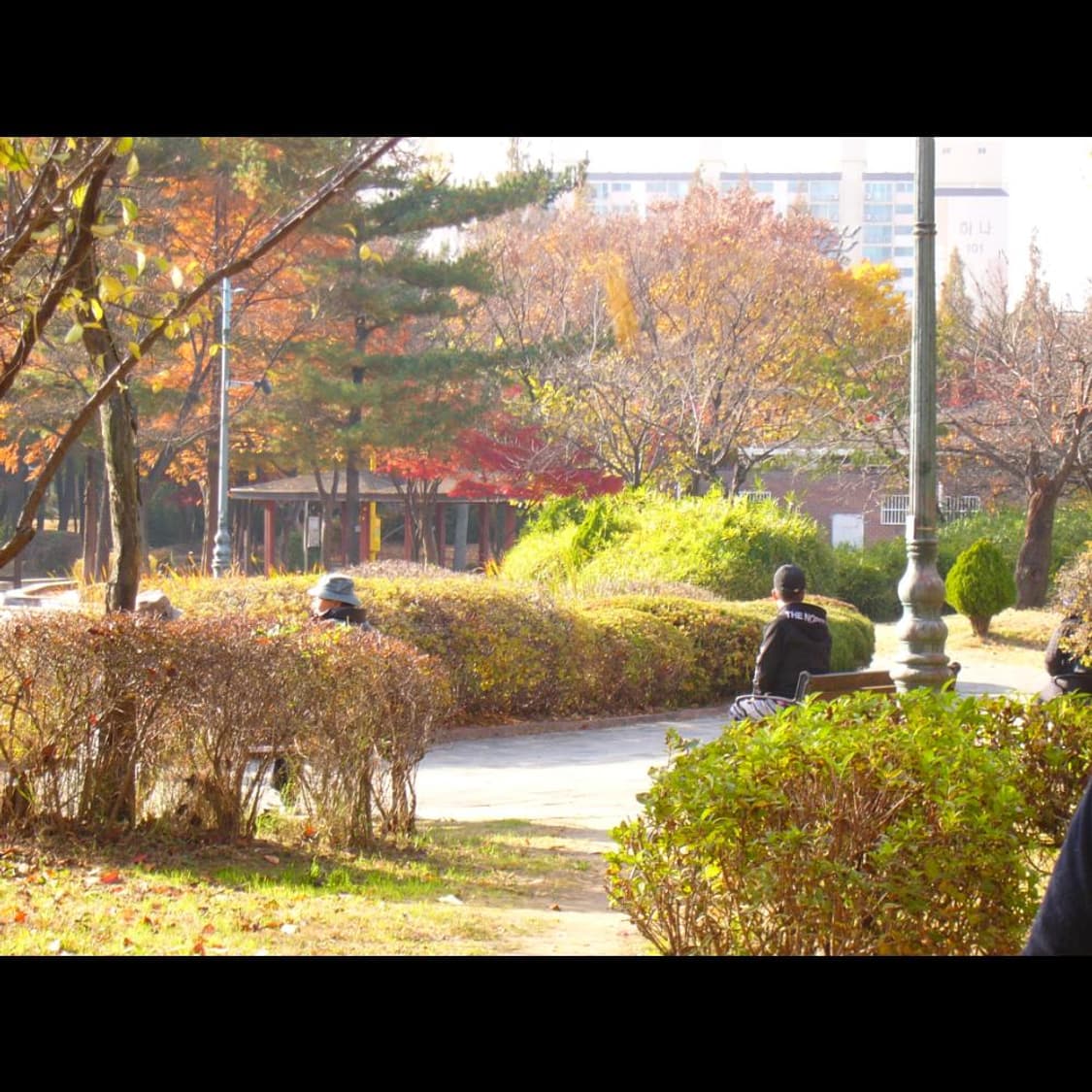 작례⭕️ 파나소닉  루믹스 FX5 실버 메탈릭✨빈티지 디카 상품이미지9