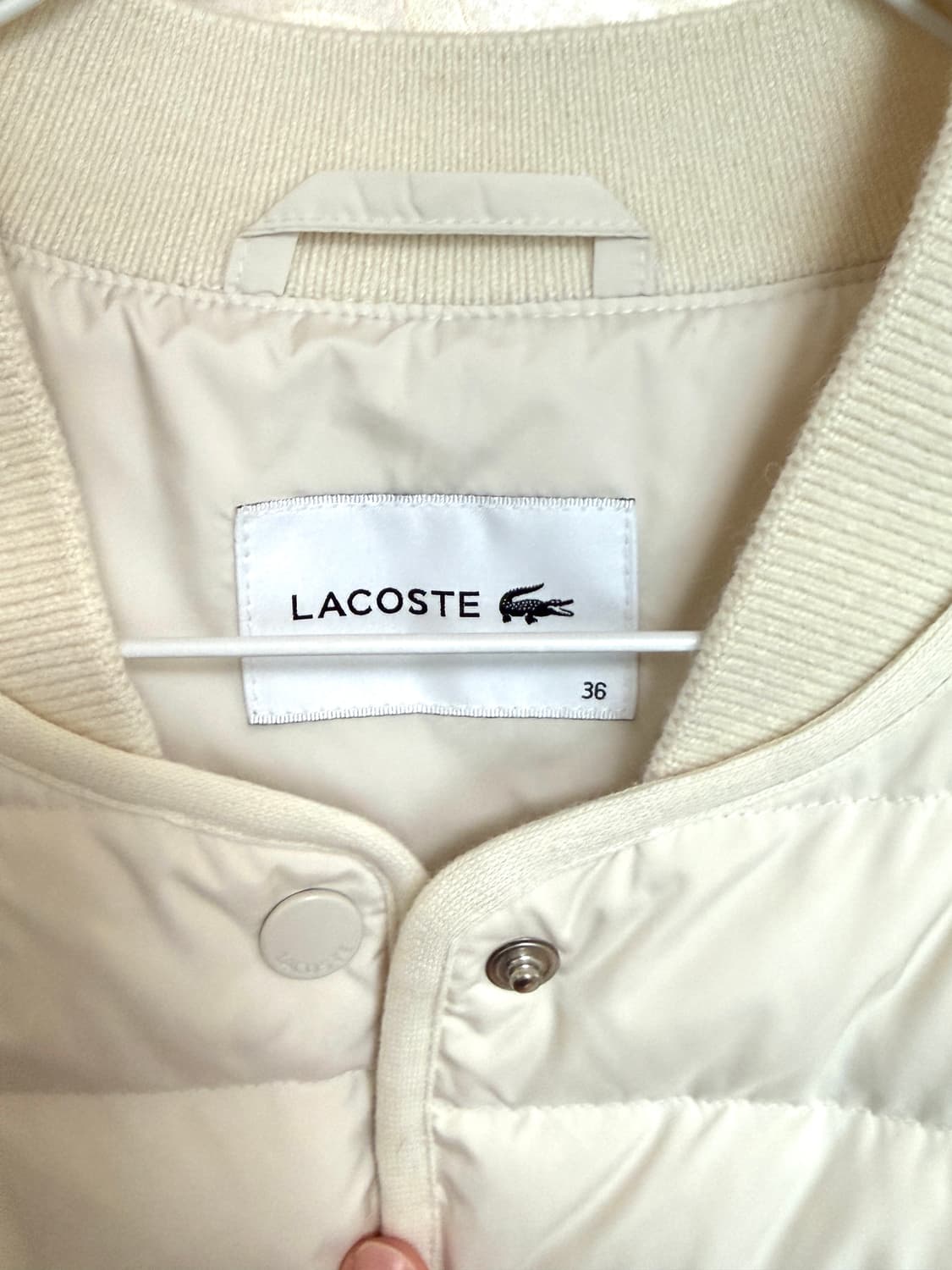 라코스테 구스다운 경량 패딩 36 새상품 상품이미지5