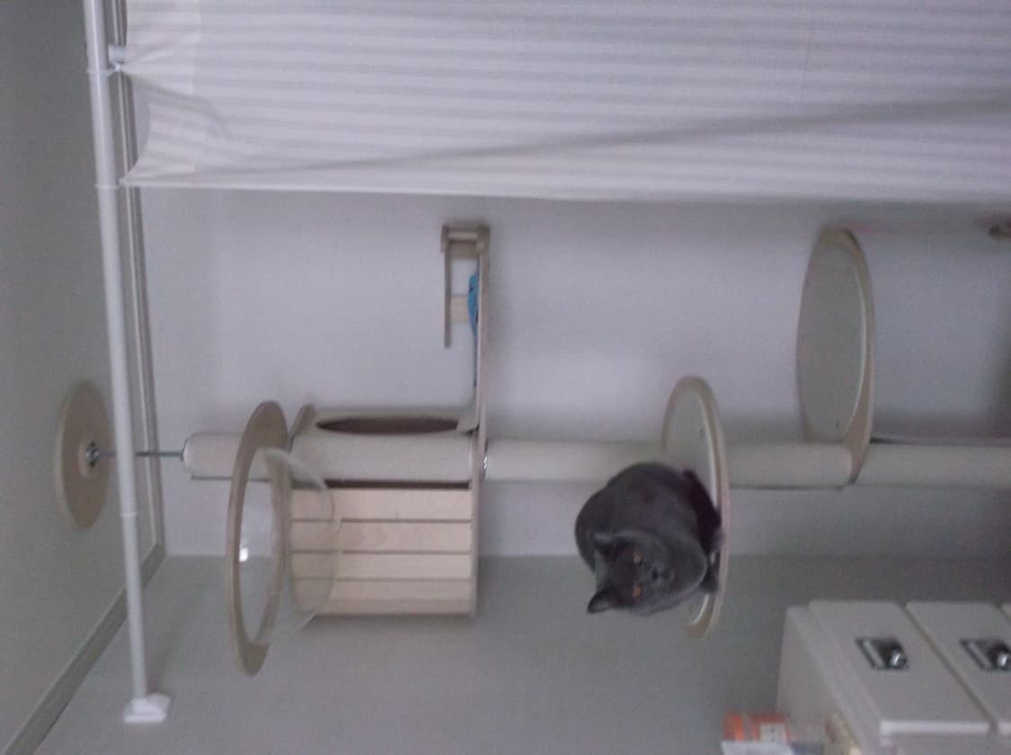 [작례O] 후지필름 FinePix JX550 상품이미지8