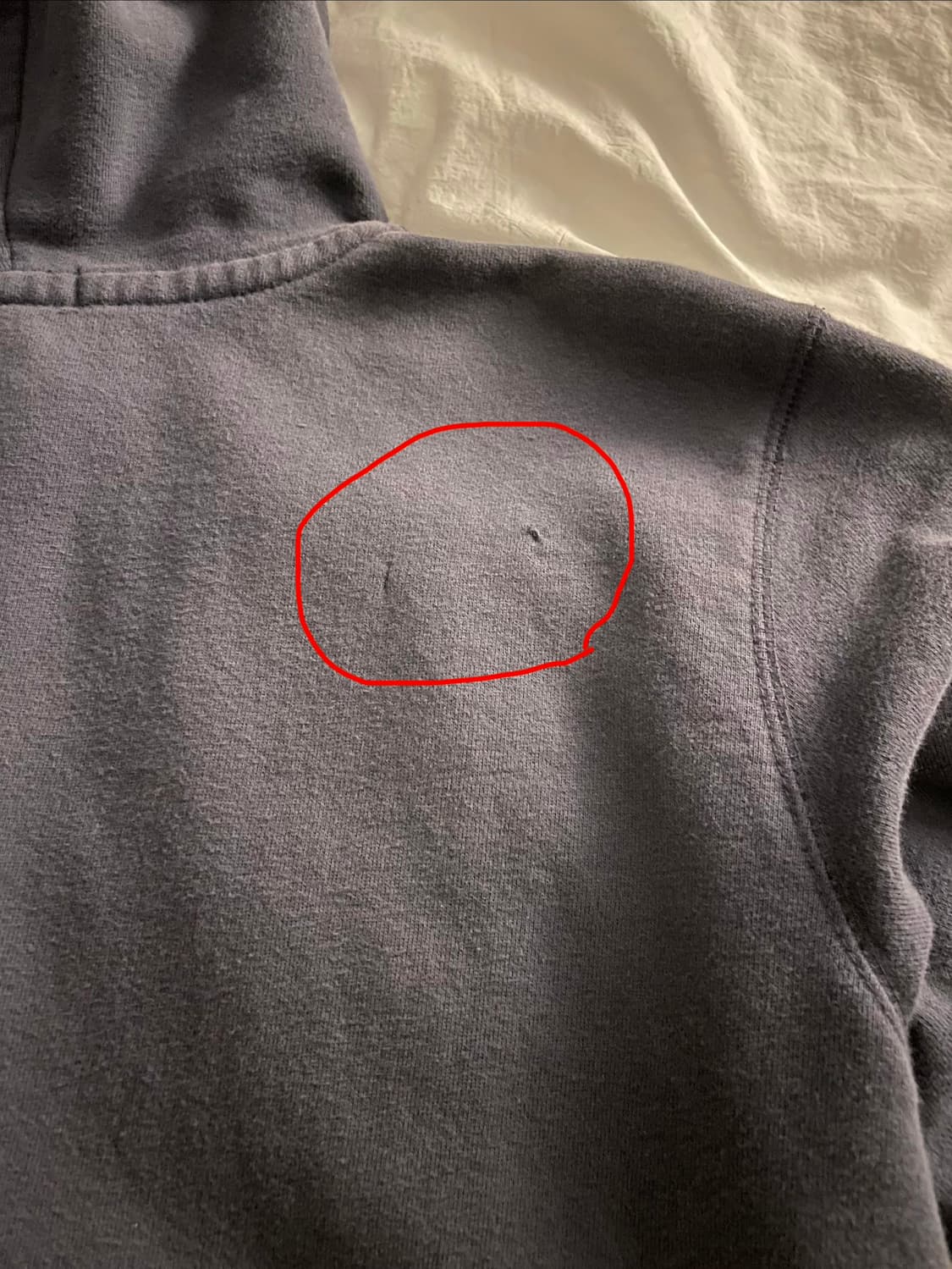 폴로 랄프로렌 빅포니 성조기 울프죠 후드집업 상품이미지6