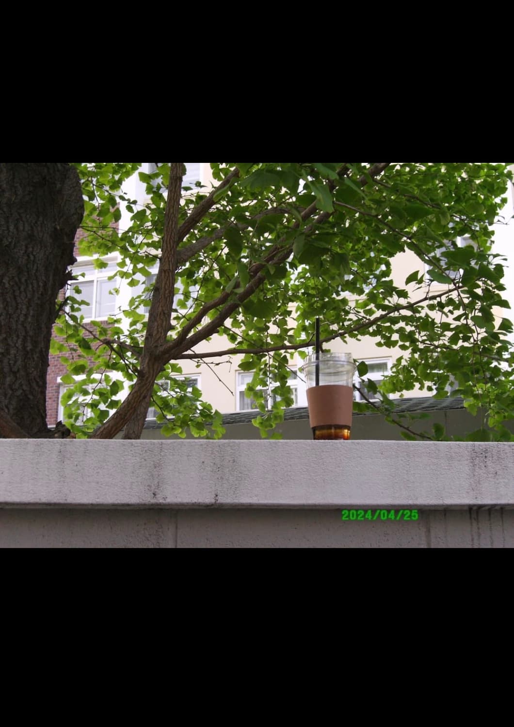 비비타 t324n 디지털카메라 상품이미지10