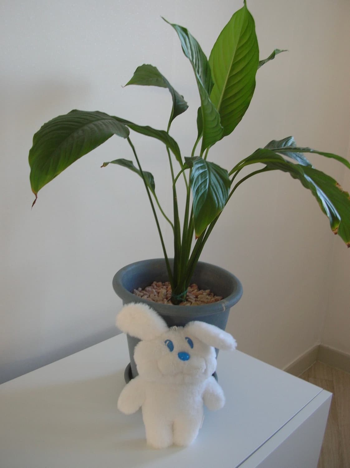 니콘 쿨픽스 4100 실버 (작례O) 상품이미지10