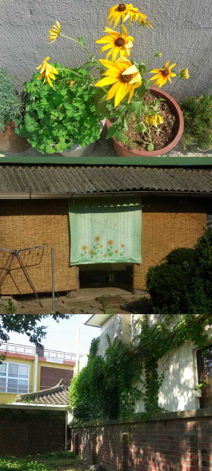 🥤소다 디카🥤 리코 CX1 실버 빈티지 디카 상품이미지7