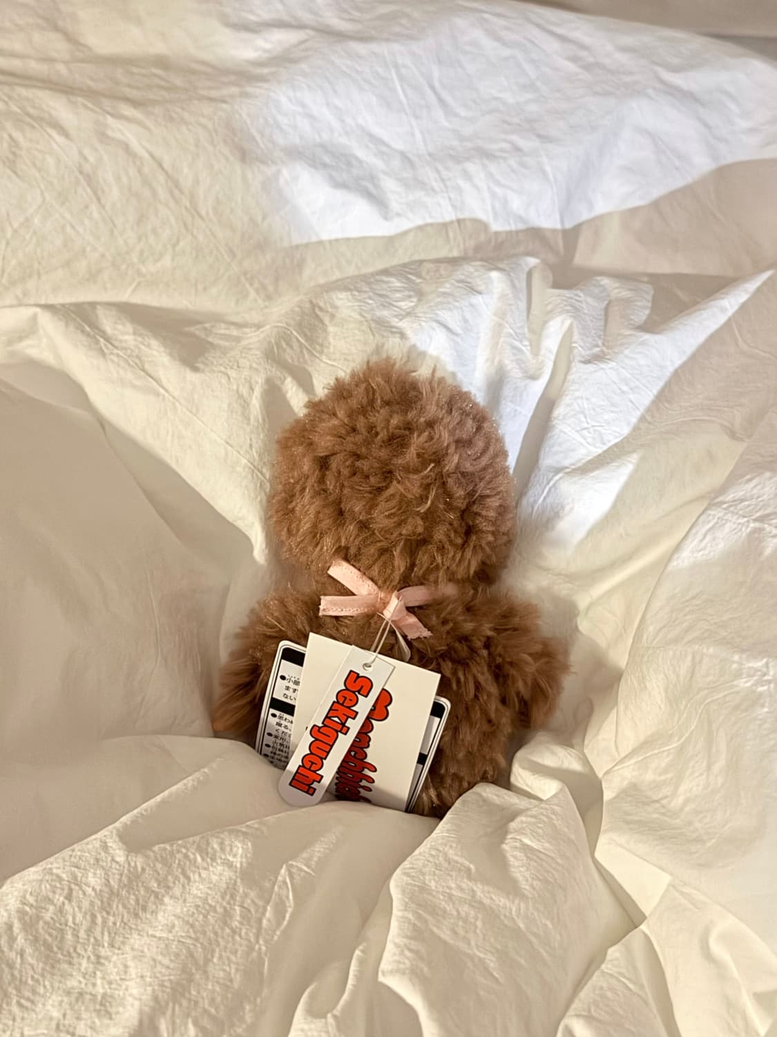 한정 모코모코 스위트 브라운 몬치치 핑크 상품이미지2