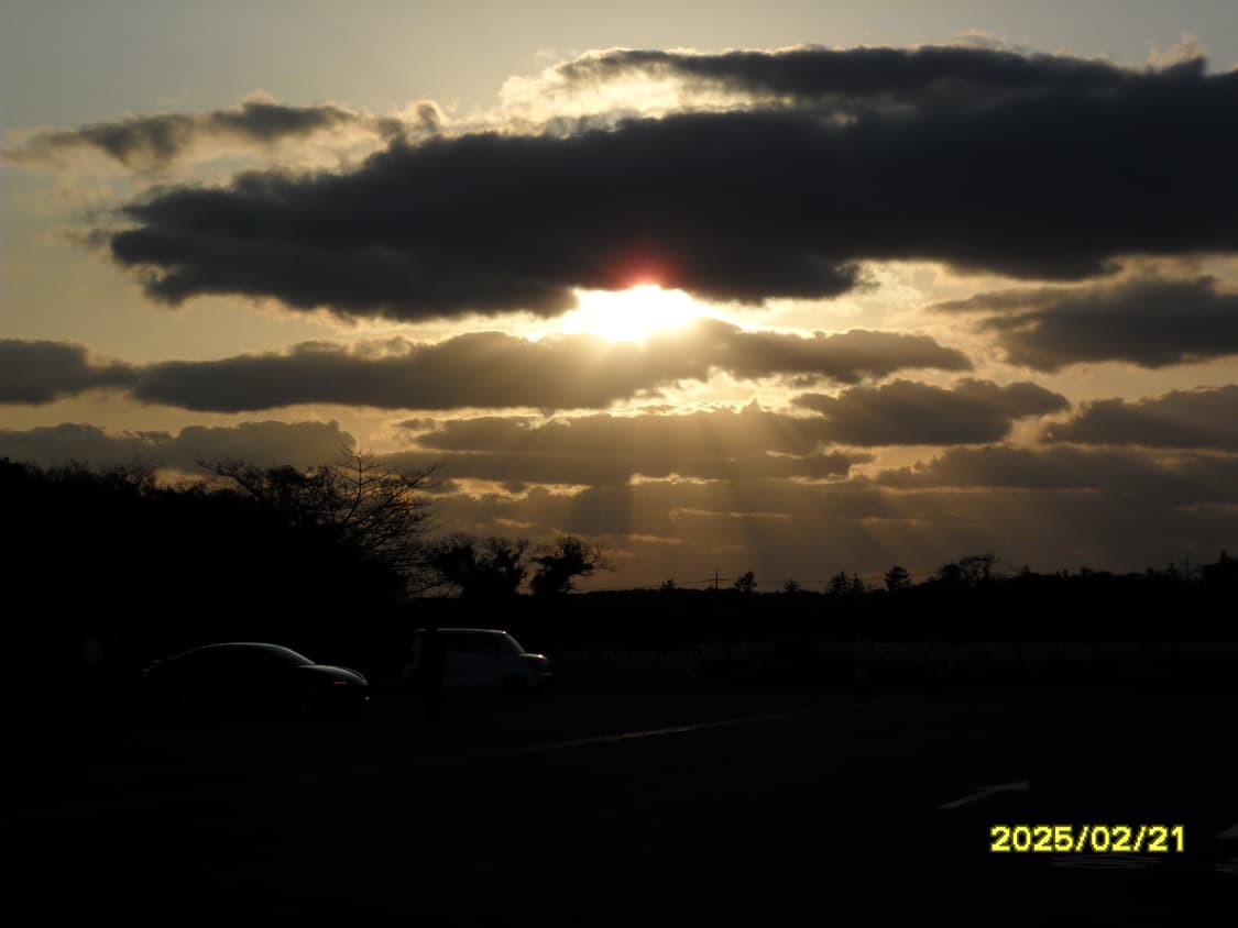 [작례O]삼성 PL150 빈티지 디카 퍼플 상품이미지9