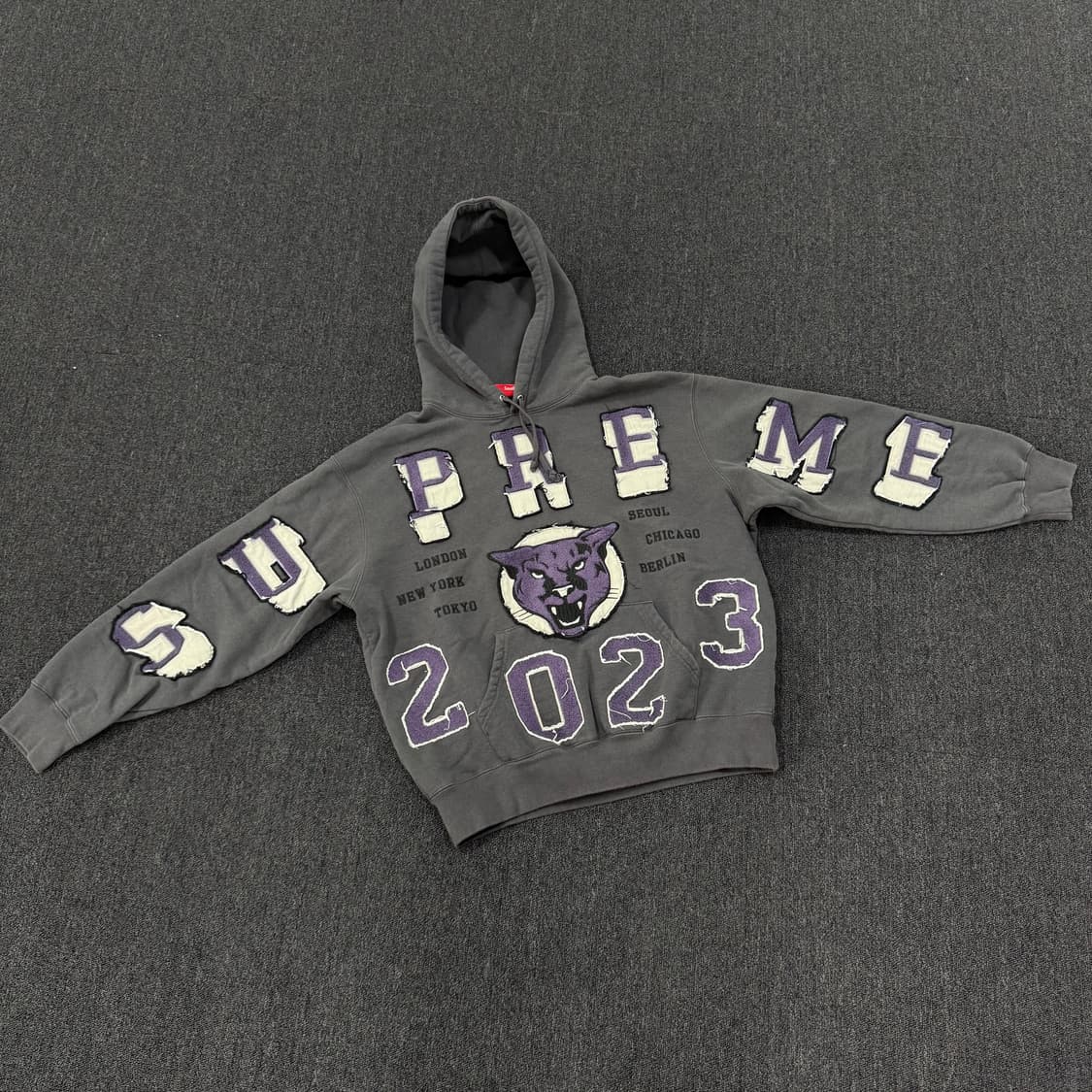 슈프림 워시드 팬서 후드티셔츠 상품이미지4