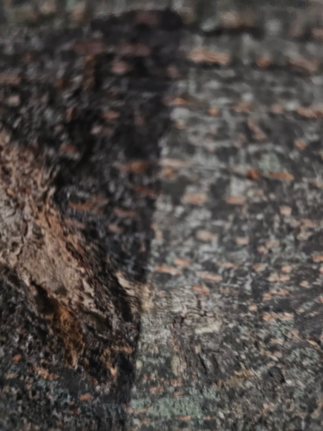 완료 상품이미지1