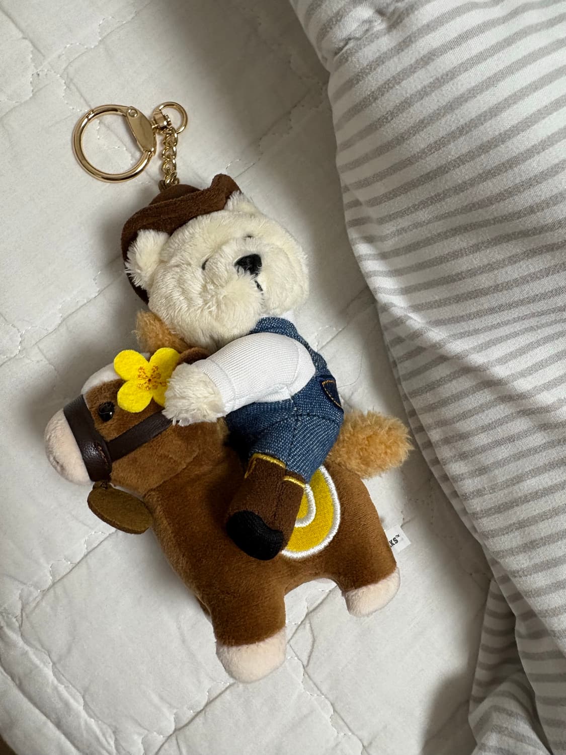 한정판 곰돌이 스타벅스 인형(수수료 포함)배송비 포함 상품이미지1