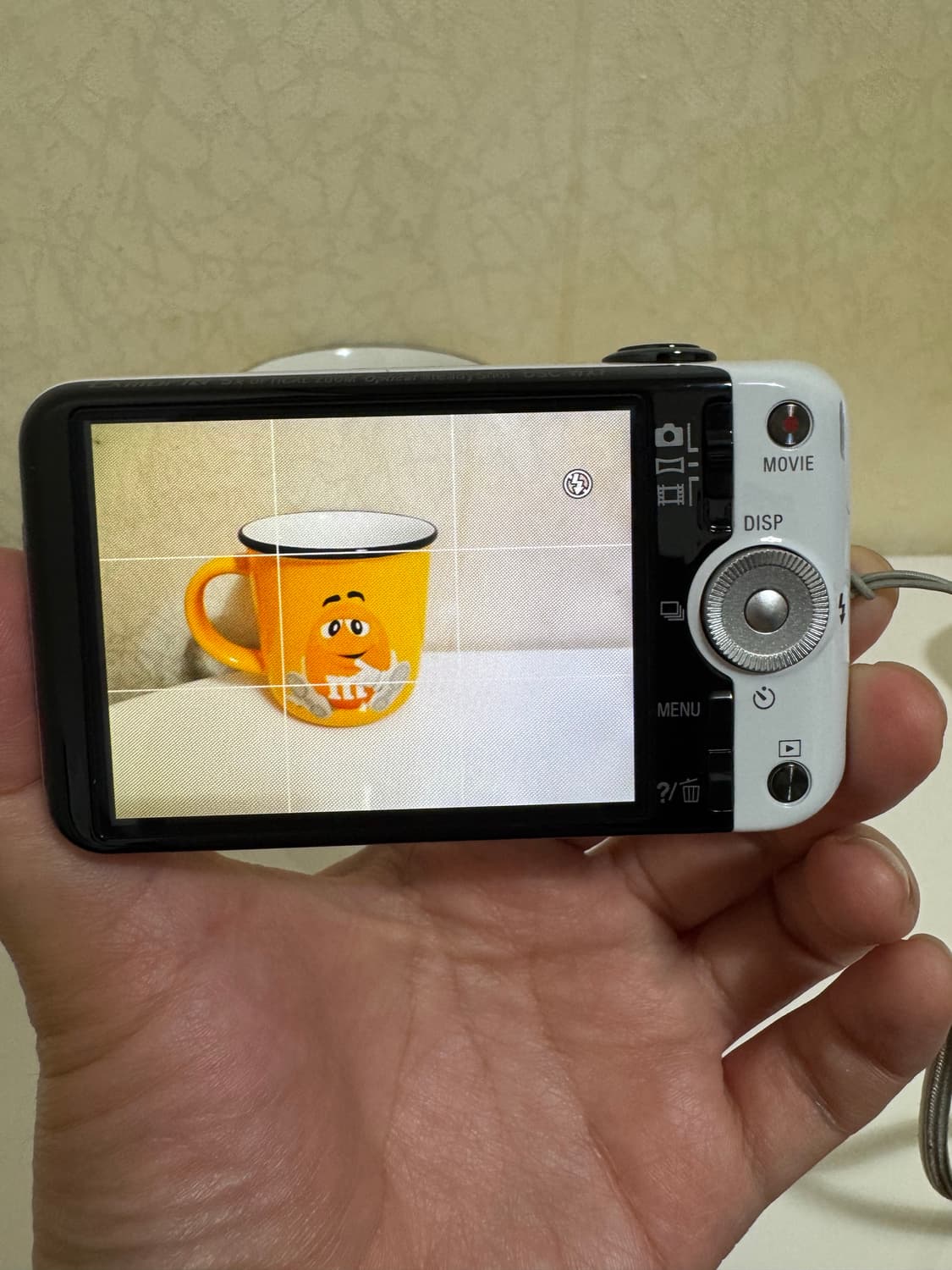 [새상품] 소니 사이버샷 DSC-WX7 디카 상품이미지2