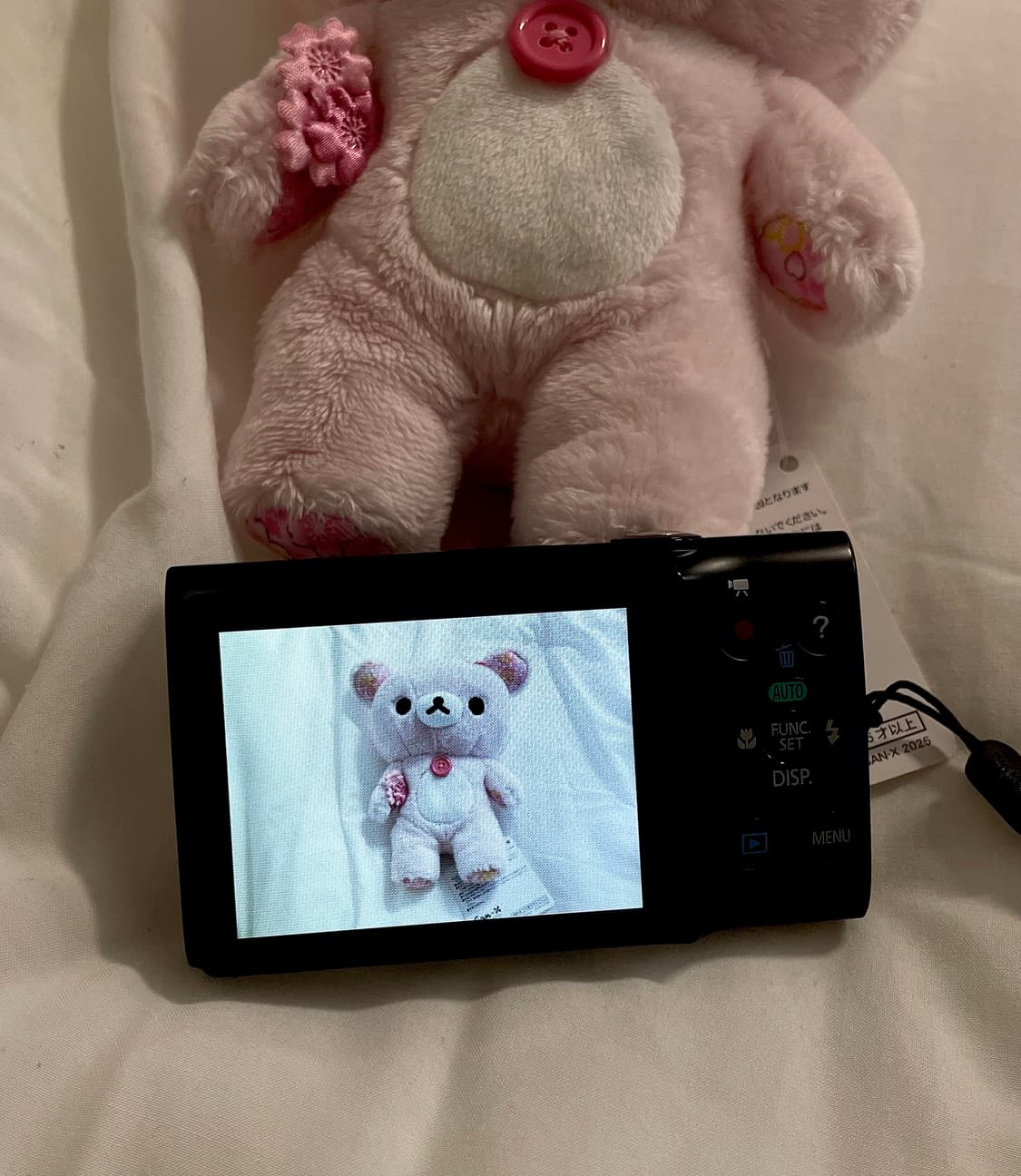 [지연 디카] 캐논 파워샷 Canon PowerShot A2400 IS 상품이미지6