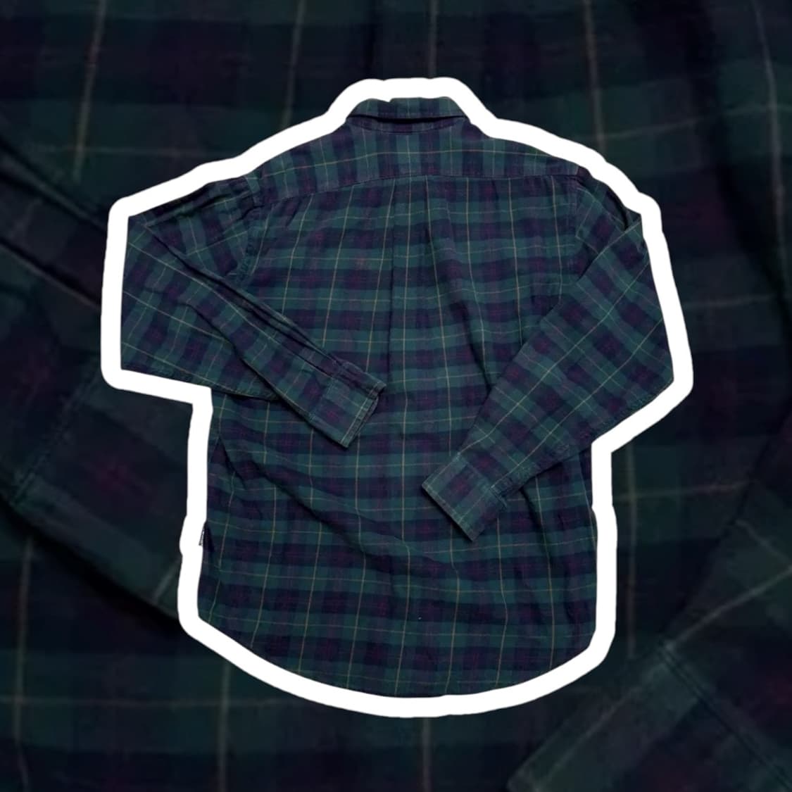 티니위니 셔츠 상품이미지3