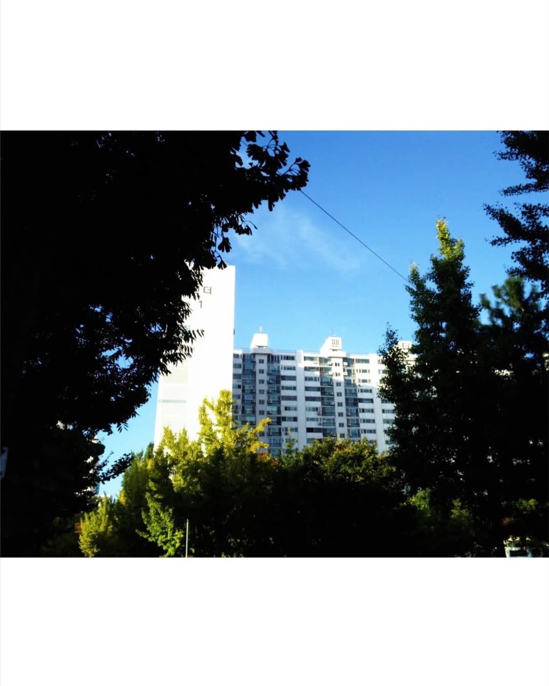 JVC GC-FM1 상품이미지4