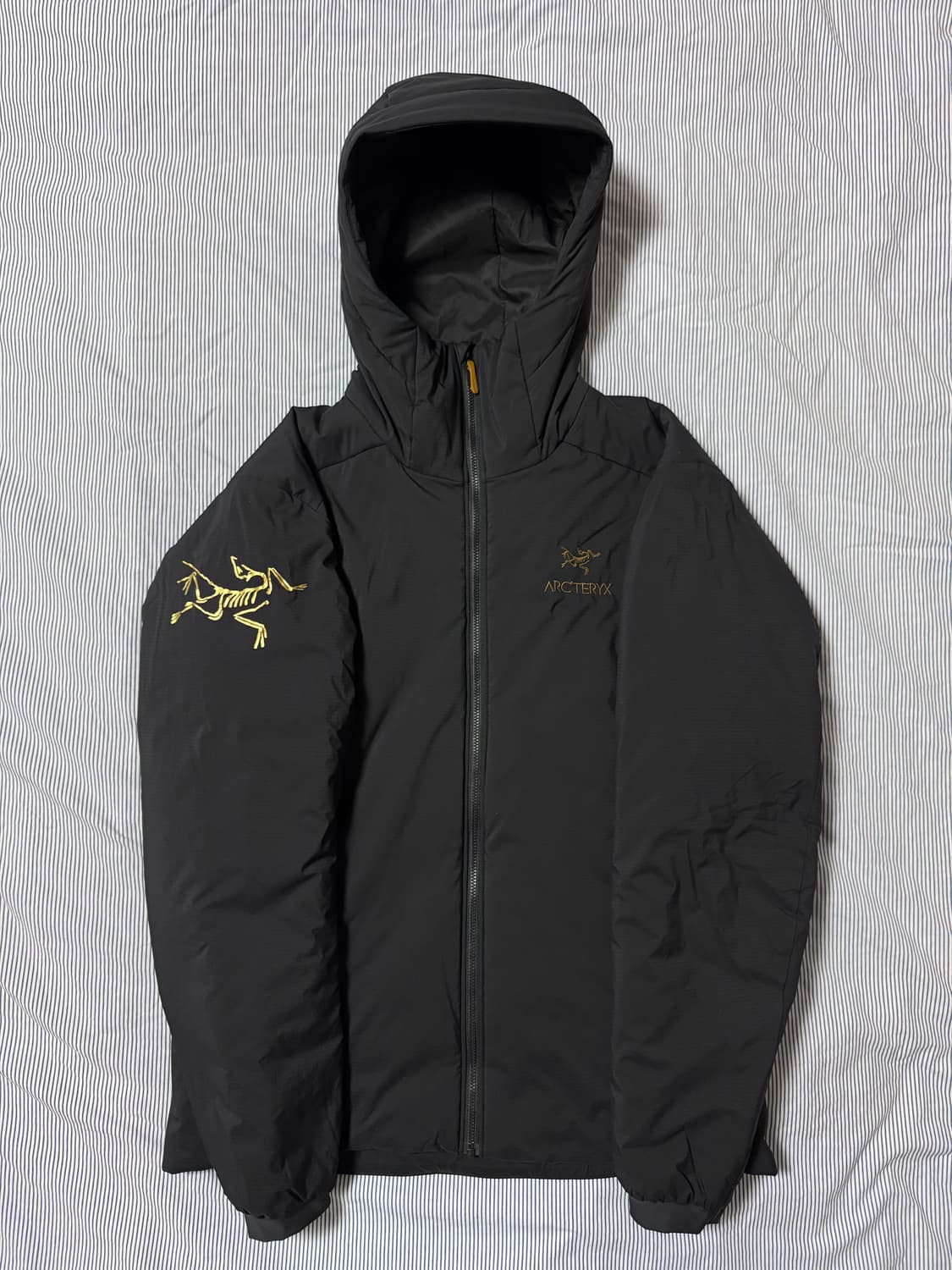 아크테릭스 x 빔즈 아톰 AR 후디 블랙 골드 상품이미지2