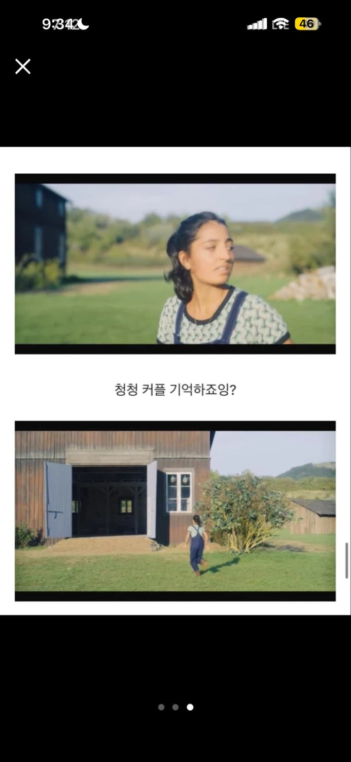 자라 패턴 링거티 반팔 니트 상품이미지3