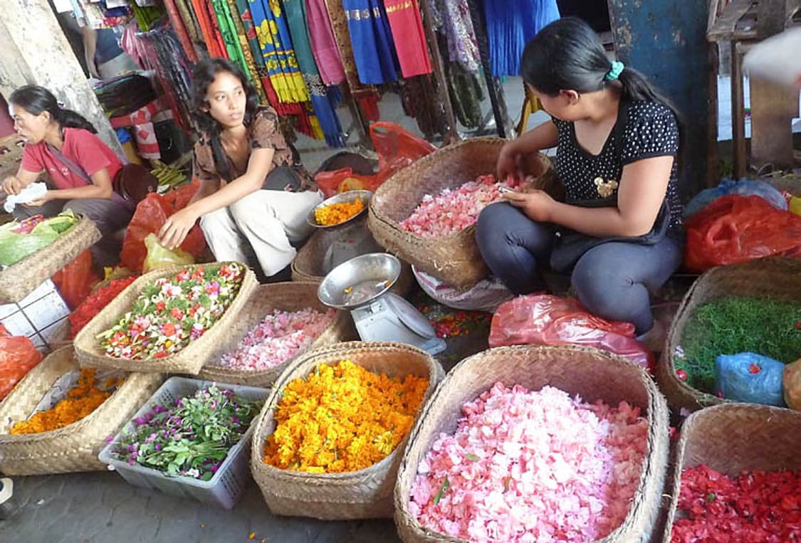 Fujifilm FinePix A605 (후지필름 파인픽스 A605) 상품이미지9