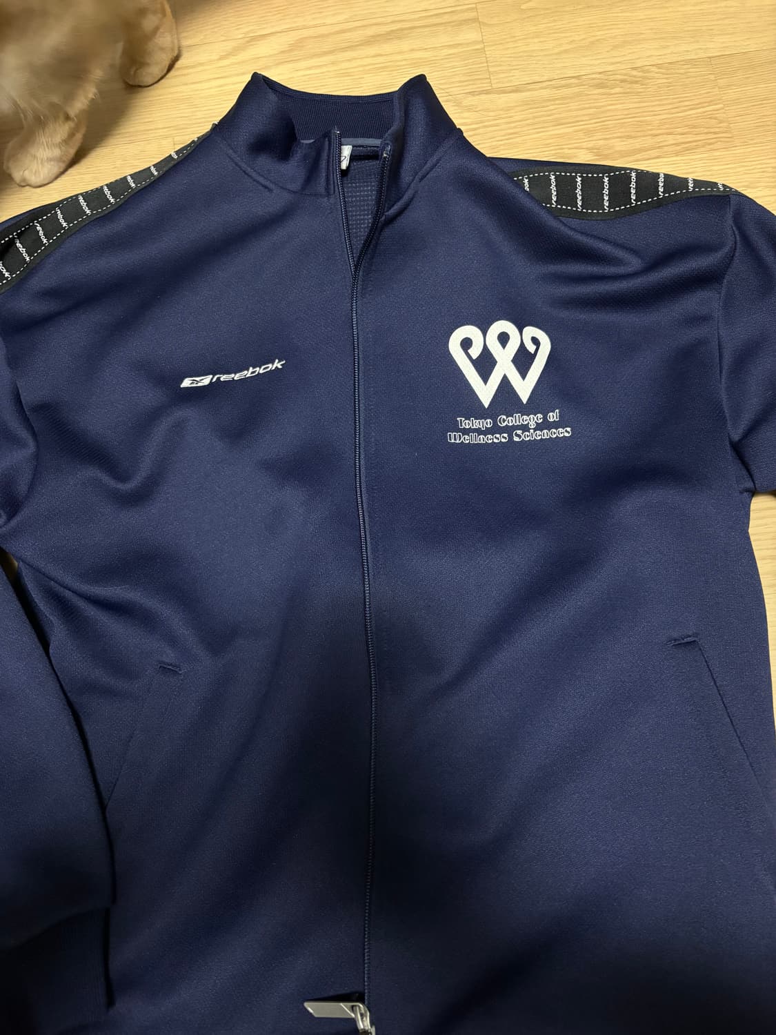 리복 일본 네이비 트랙세트  상품이미지1