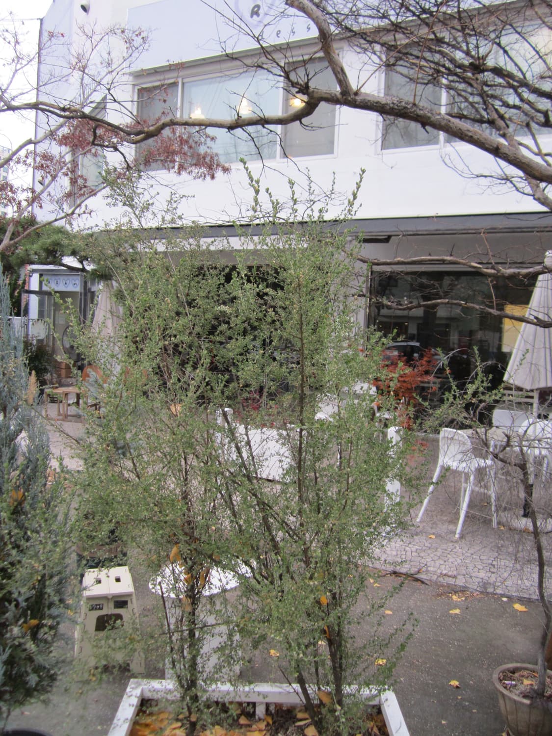 캐논 PowerShot A2200 / 가볍게 쓰기 좋은 클래식 감성 디카 상품이미지4