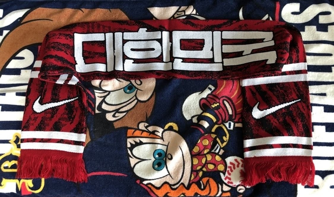 나이키 2022 카타르월드컵한정 축구국대 머플러 상품이미지1