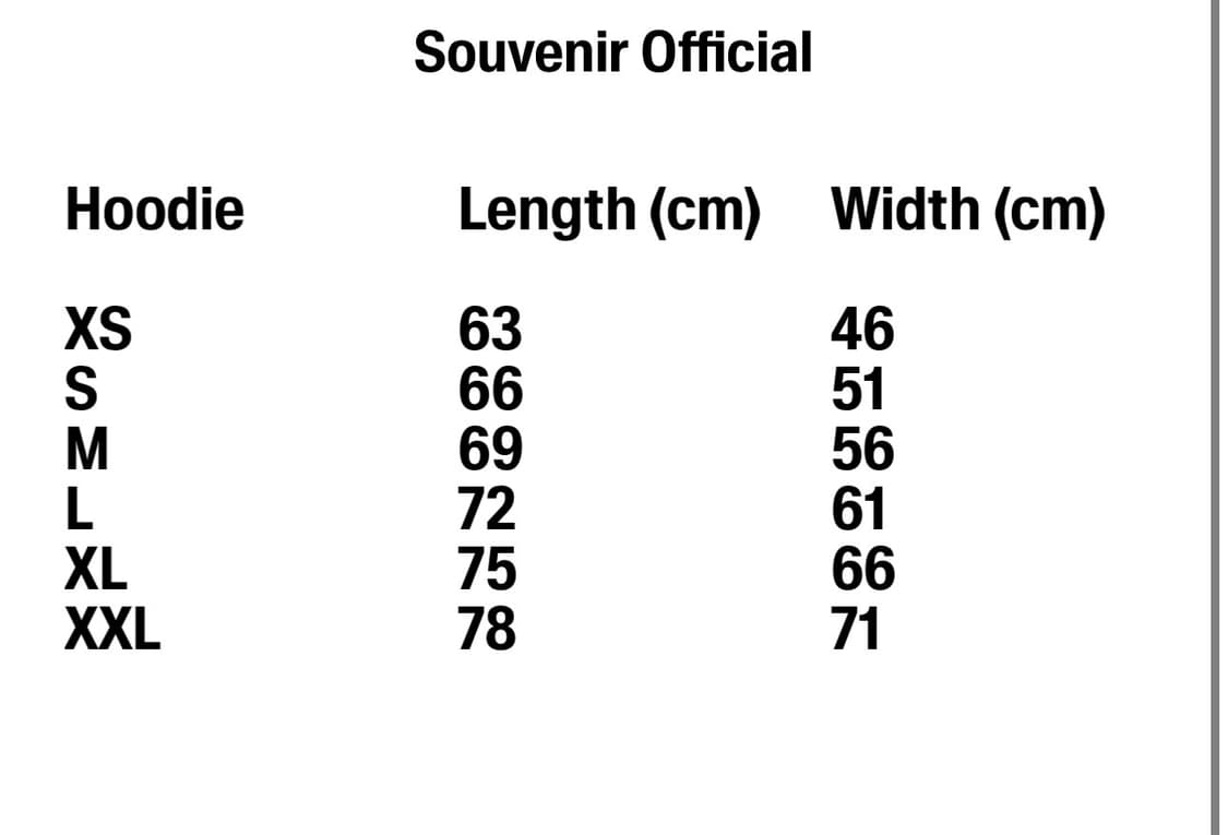 수베니어오피셜 후드 페일블루 2XL 상품이미지5