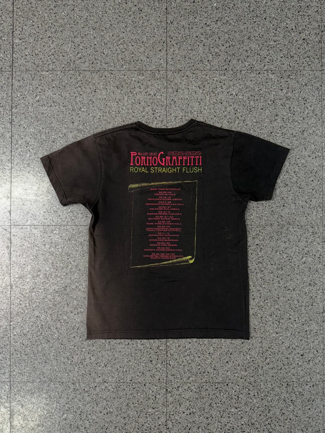 2009 porno graviitii tour tee 상품이미지4