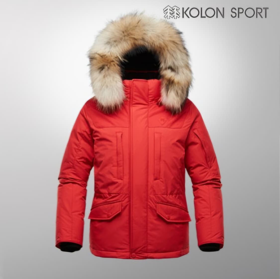 코오롱스포츠 윈드스토퍼 주노 보머 구스다운 패딩자켓 105 상품이미지1