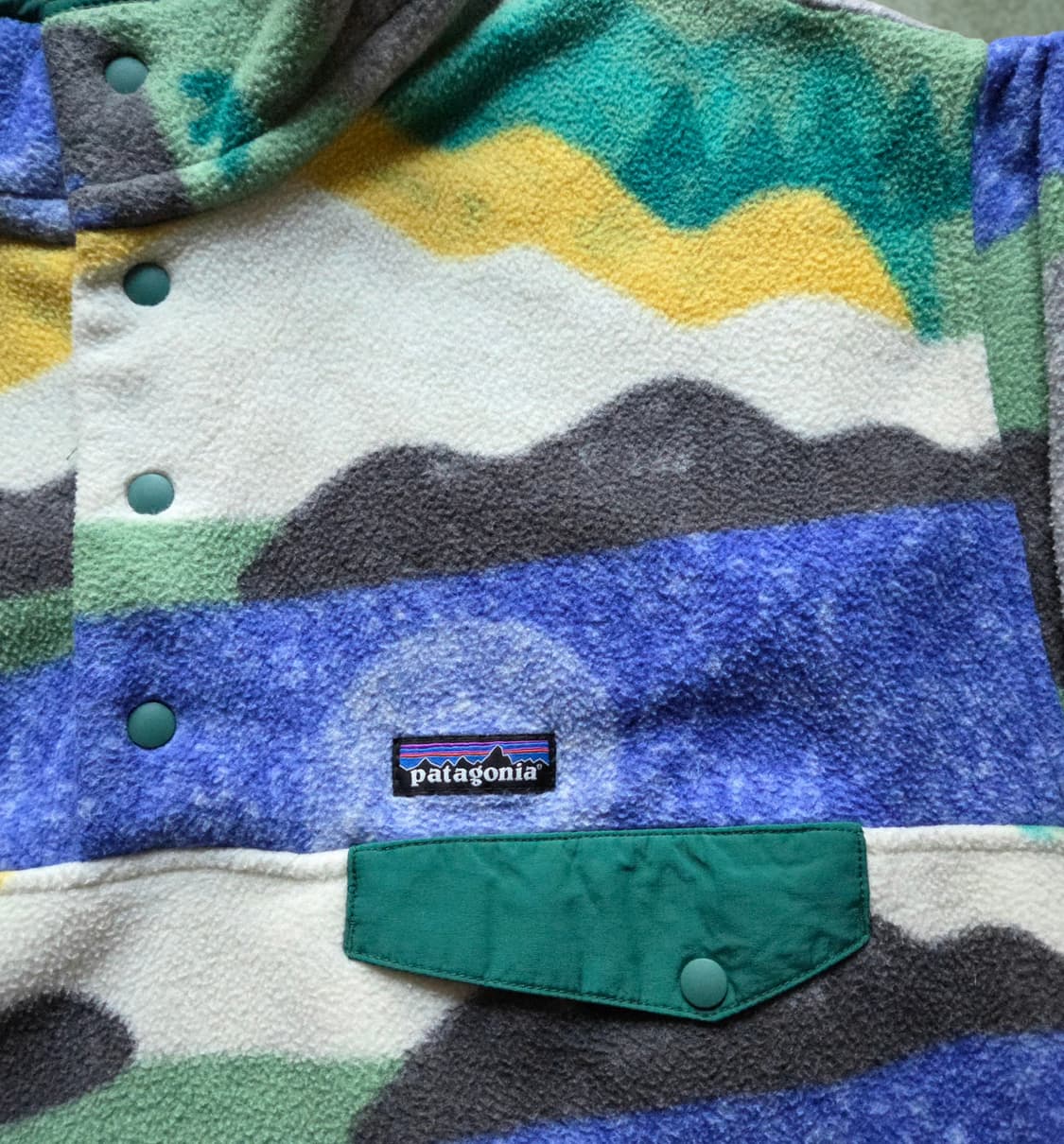(L)파타고니아 Rare 하이컨트리 신칠라 플리스 상품이미지2