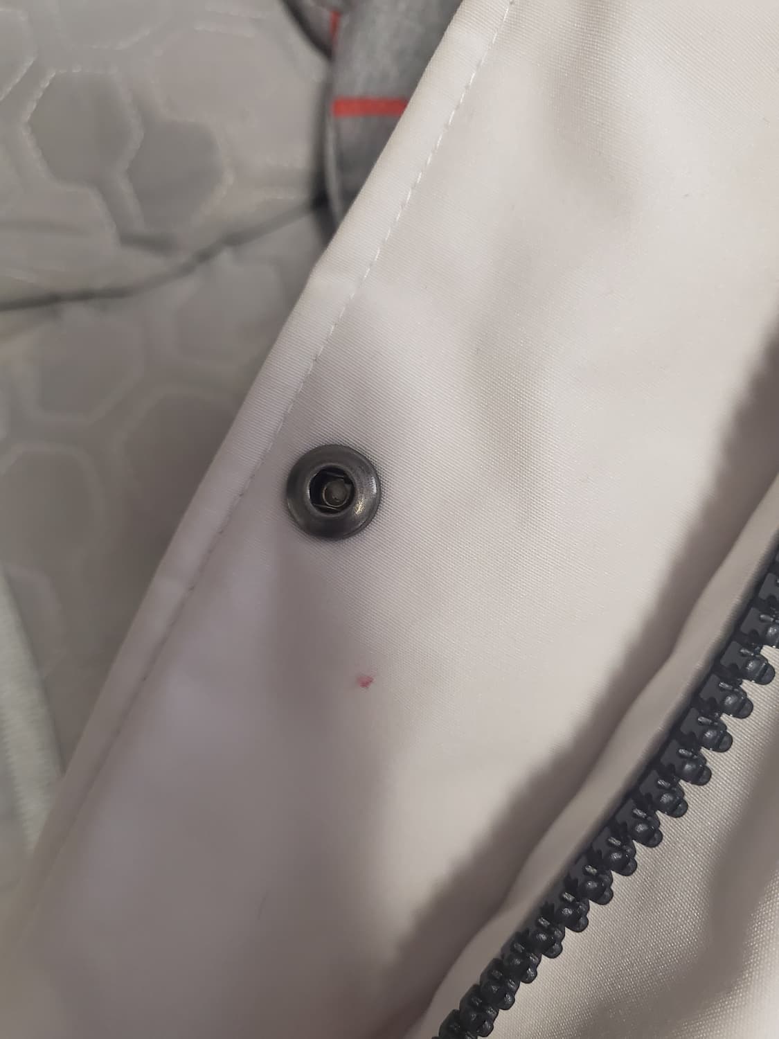 내셔널지오그래픽  상품이미지4