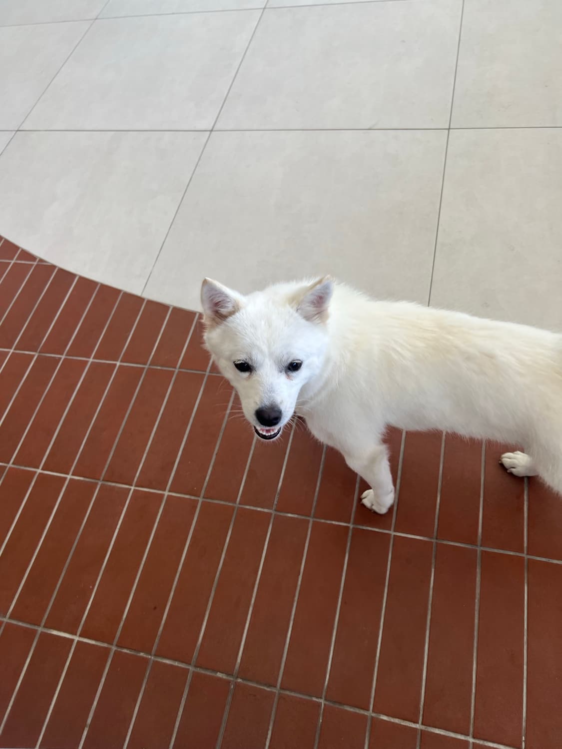 덕버터 상품이미지1