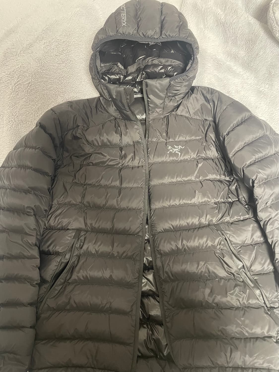 아크테릭스 세륨L 상품이미지1