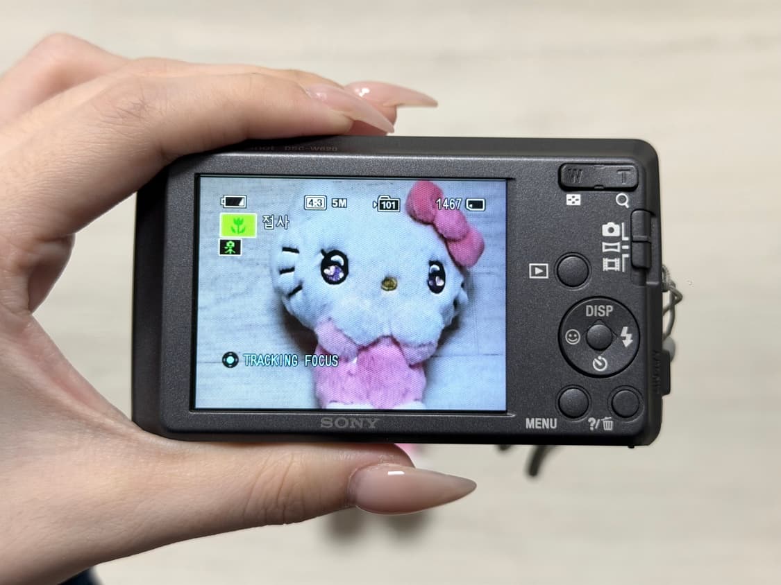 소니 사이버샷 Sony Cyber-shot DSC-W620 실버 디카   상품이미지6