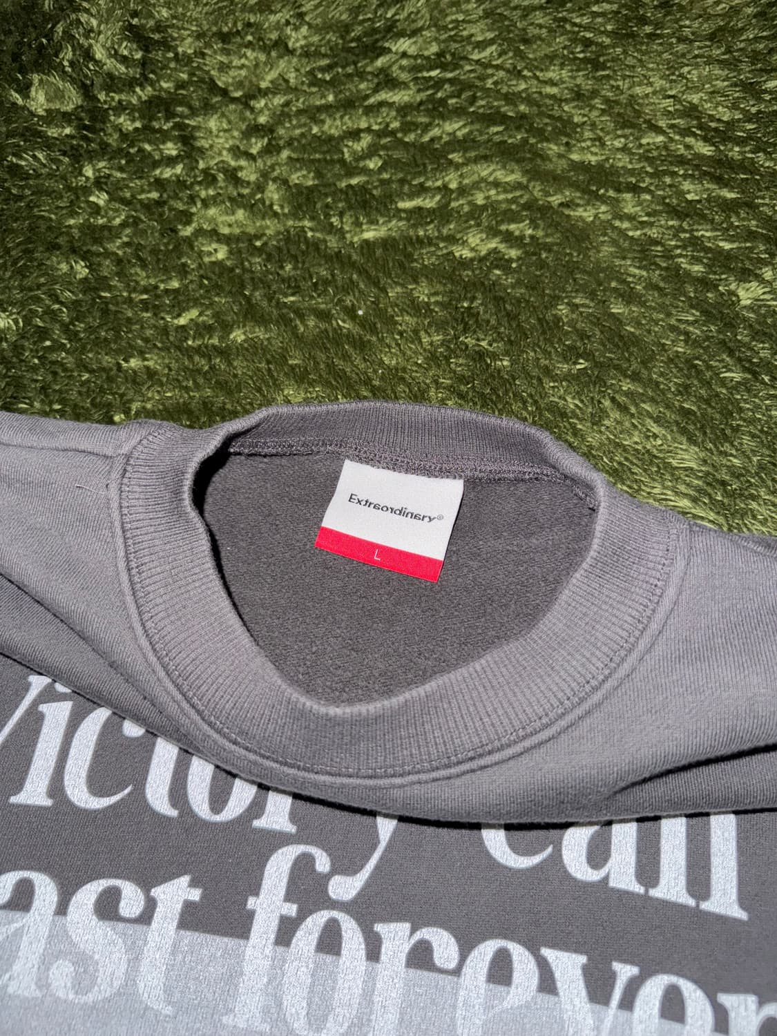 [L] 엑스트라오디너리 RSF 그래픽 릴렉스 핏 스웻셔츠 챠콜 상품이미지3