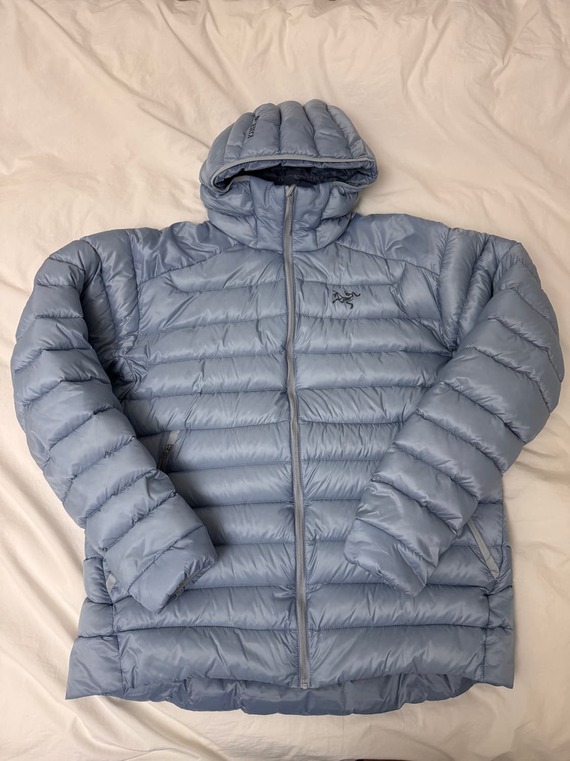 아크테릭스 세륨 후디 루센트 상품이미지1